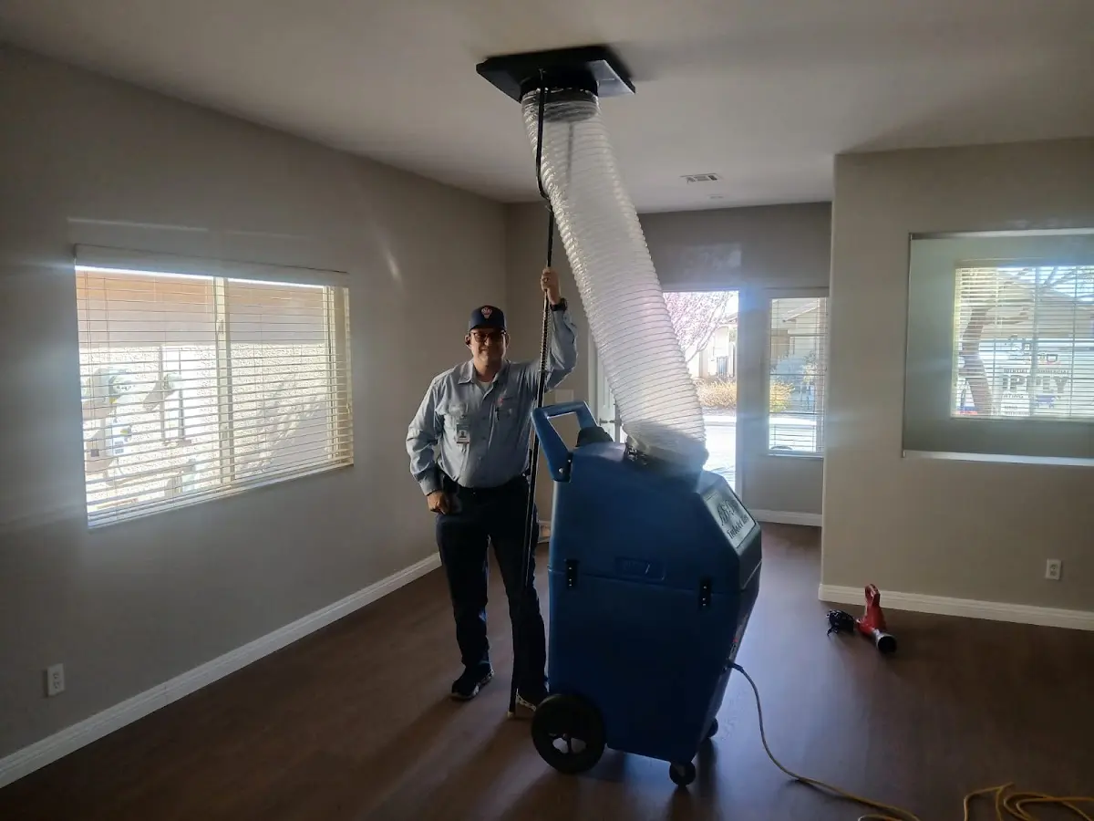 Professional Dryer Vent Cleaning work inside a East Niles home